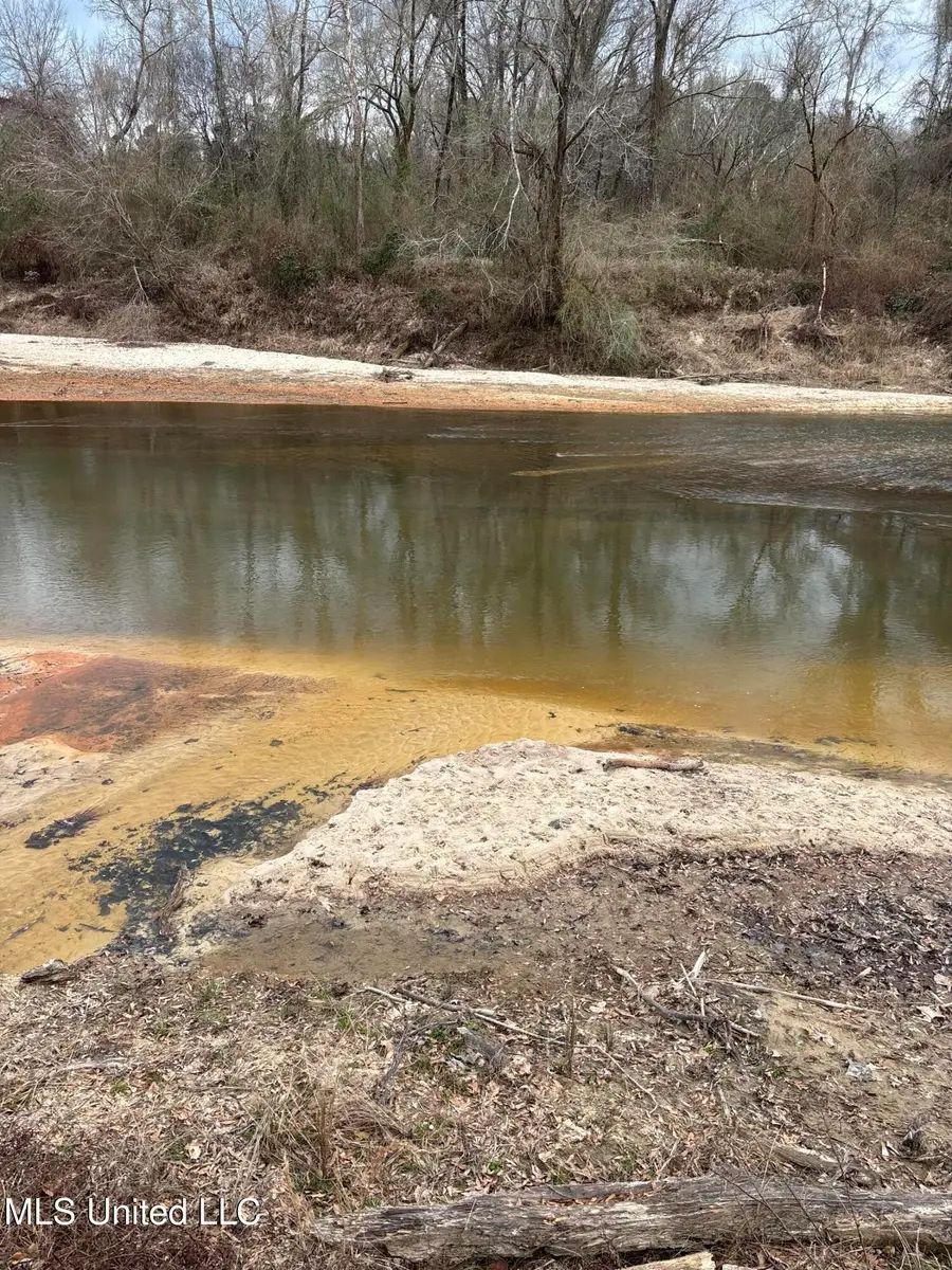 Lee Bass Road, Pinola, MS 39149 - #3