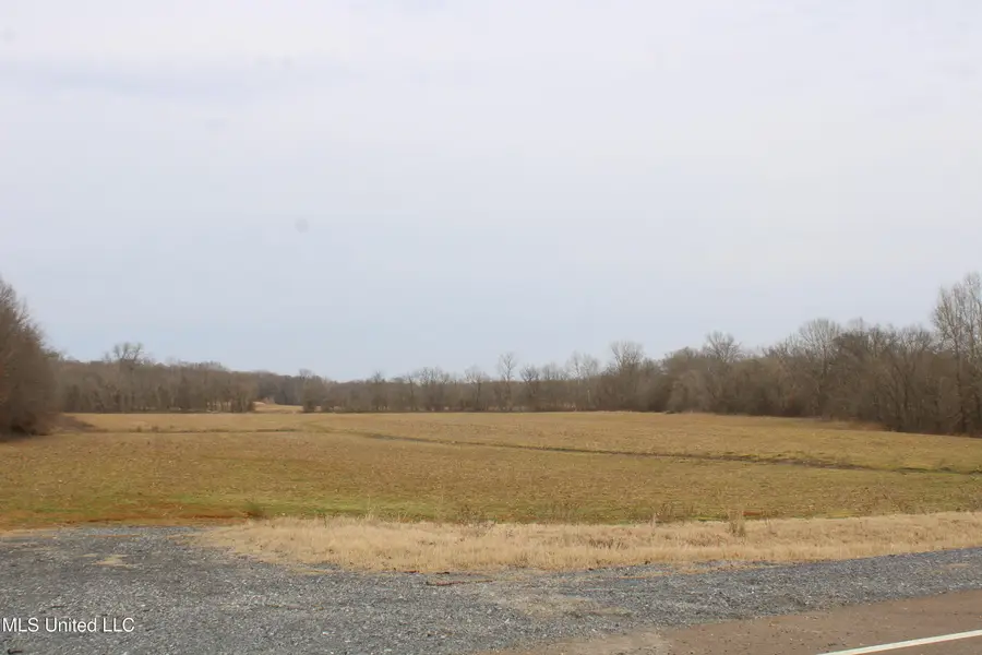 6000 Austin Road, Lake Cormorant, MS 38641 - #2