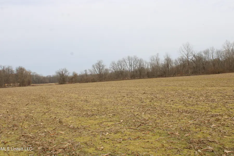 6000 Austin Road, Lake Cormorant, MS 38641 - #3