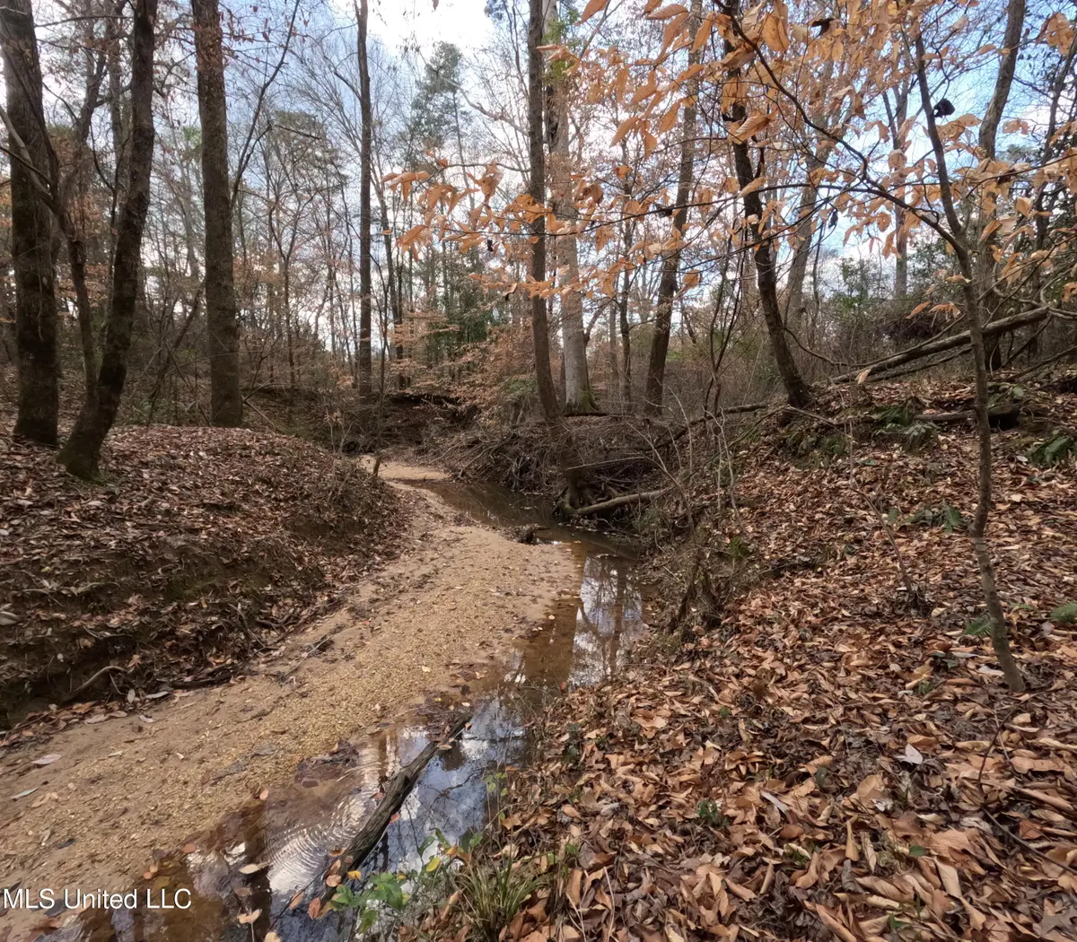 Saint John Road Road, Braxton, MS 39044 - #1