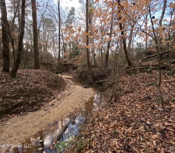 Saint John Road Road, Braxton, MS 39044