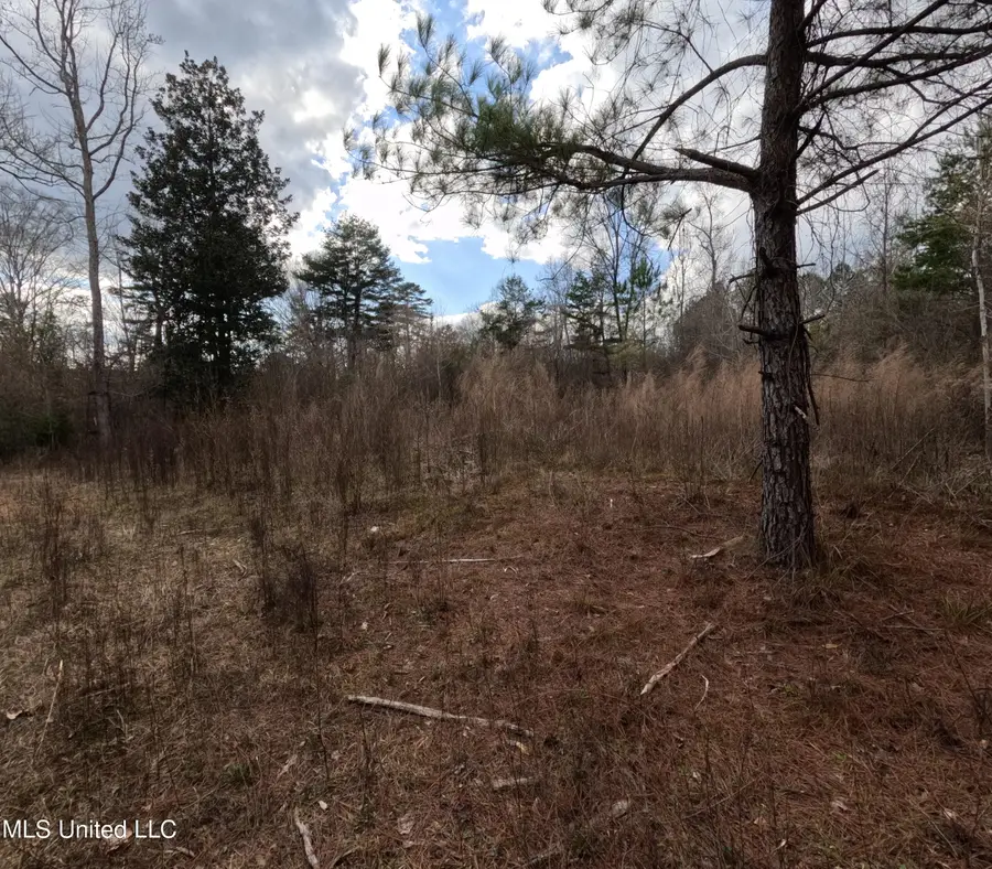 Saint John Road Road, Braxton, MS 39044 - #2