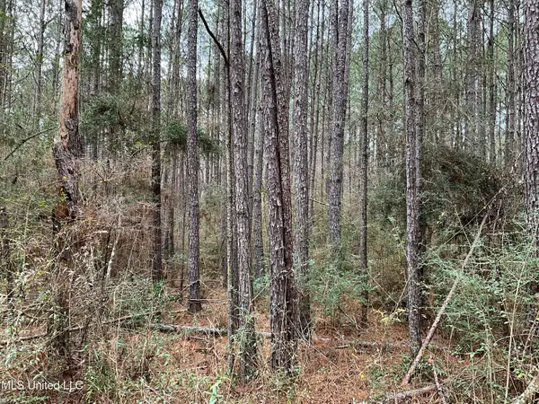 Berwick Cassels Road, Gloster, MS 39638