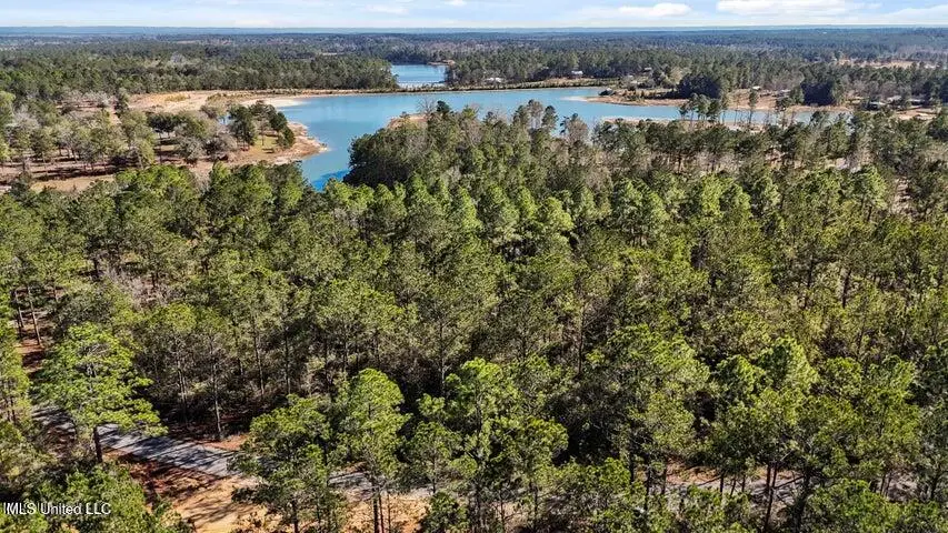 Lot 18 Mitchell Road, Leakesville, MS 39451 - #3