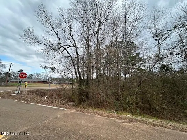 Oak Street, Gloster, MS 39638 - #1