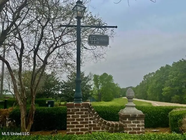 Chestnut Hill Road, Flora, MS 39071 - #1