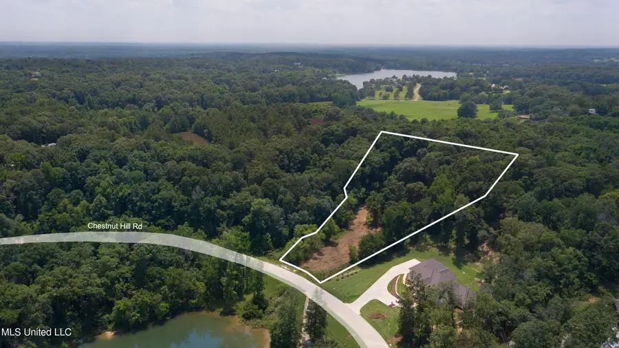 Chestnut Hill Road, Flora, MS 39071 - #3