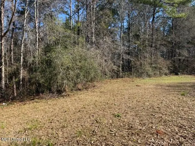 American Sand And Gravel, Poplarville, MS 39470 - #3