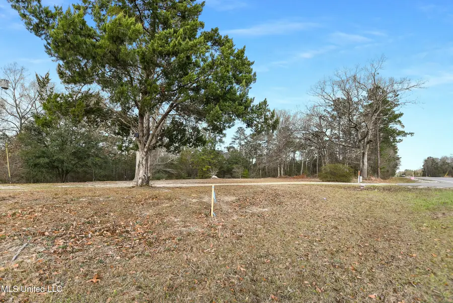 7271 Highway 57, Lucedale, MS 39452 - #3