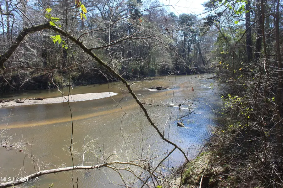 2194 Brandi Road, Summit, MS 39666 - #2