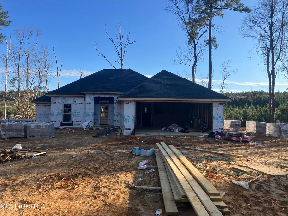 589 Mt Zion Road, Wesson, MS 39191 - #1