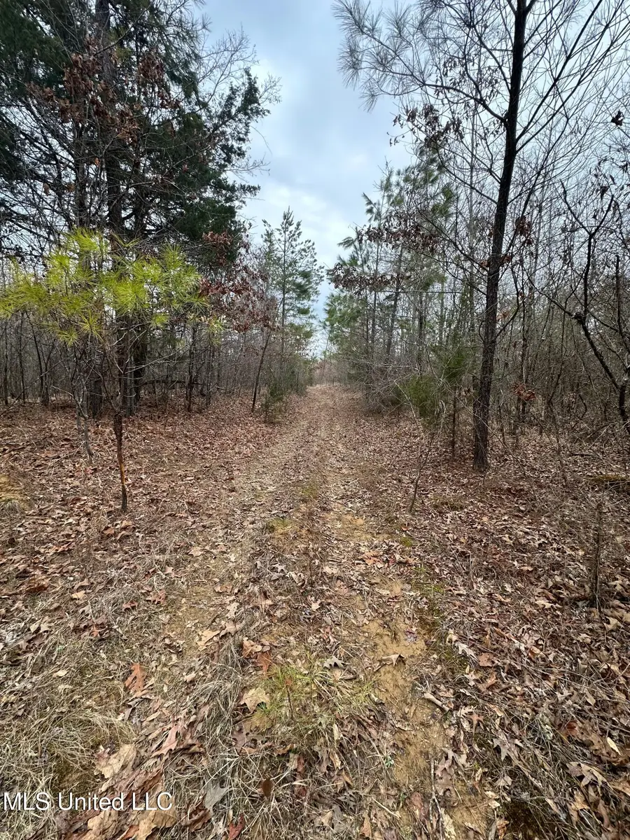 Gordon Road, Duck Hill, MS 38925 - #2