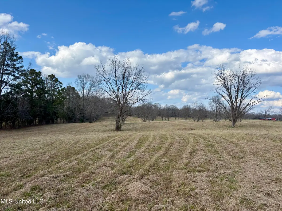 1255 N Chapel Hill Road, Raymond, MS 39154 - #1