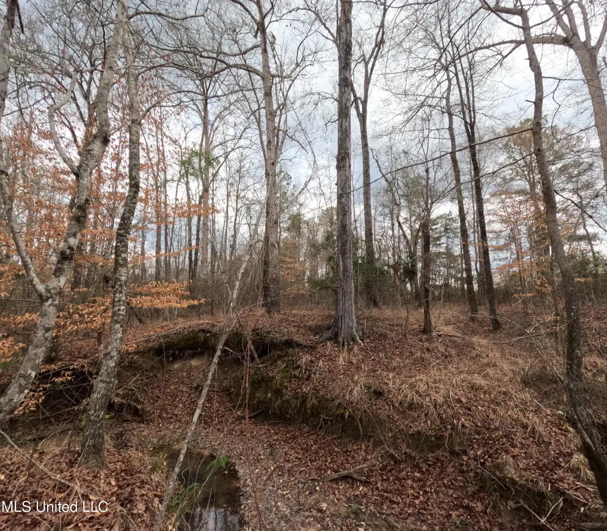 Rockport New Hebron Road, Newhebron, MS 39140 - #1