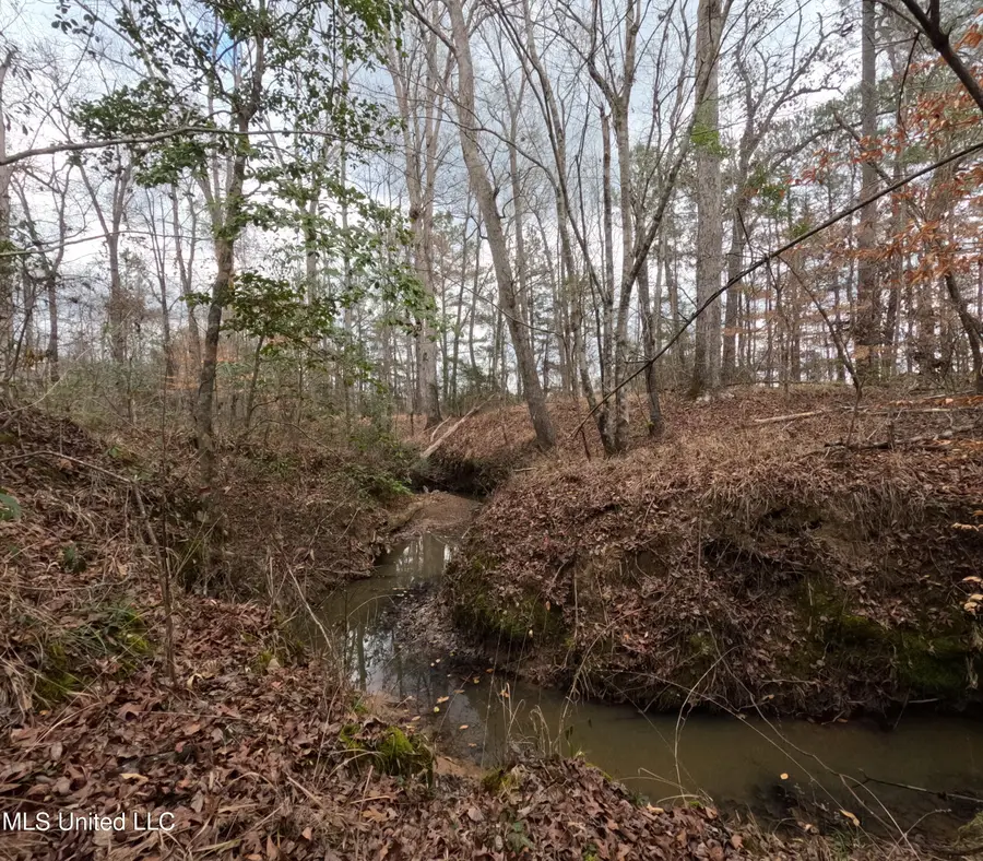 Rockport New Hebron Road, Newhebron, MS 39140 - #2