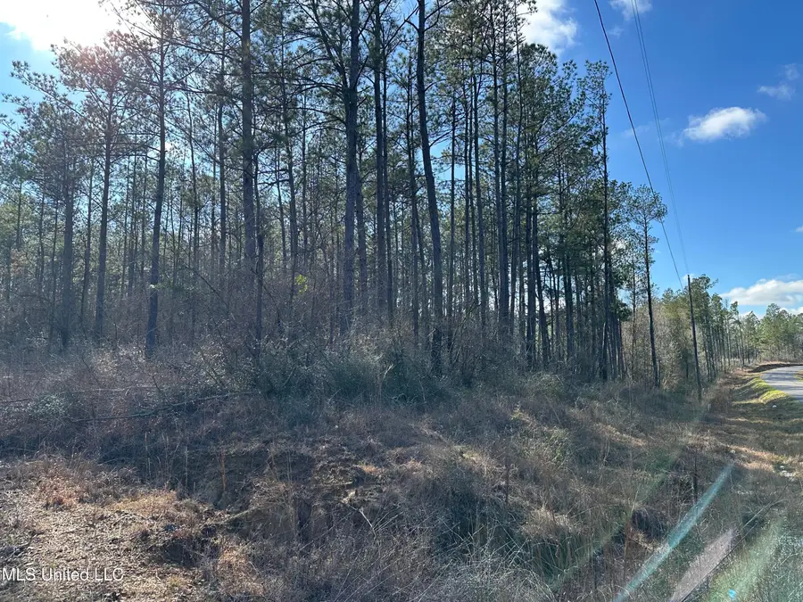 0 Emile Davis Road, Poplarville, MS 39470 - #2