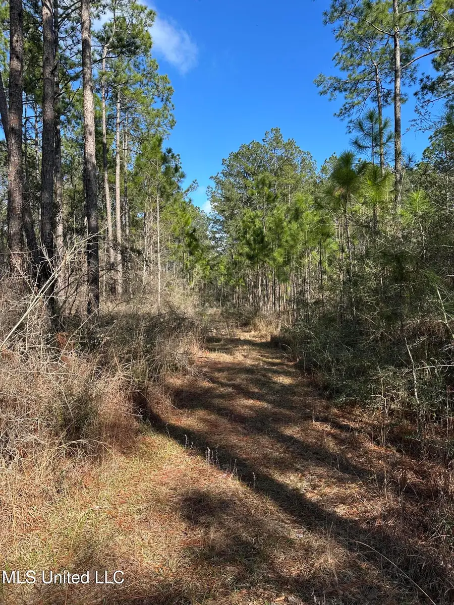 0 Emile Davis Road, Poplarville, MS 39470 - #3