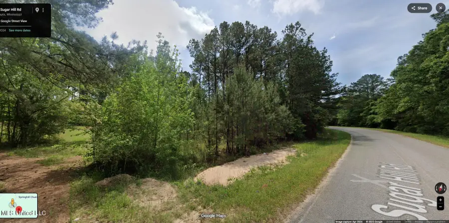 Sugar Hill Road, Shubuta, MS 39360 - #2