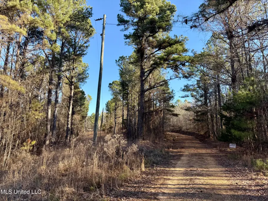 Triplett Ingram Road, Louisville, MS 39339 - #3