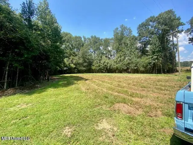 Adams Road, Smithdale, MS 39664 - #3