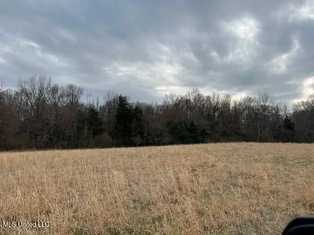 On Peyton Road, Coldwater, MS 38618 - #2