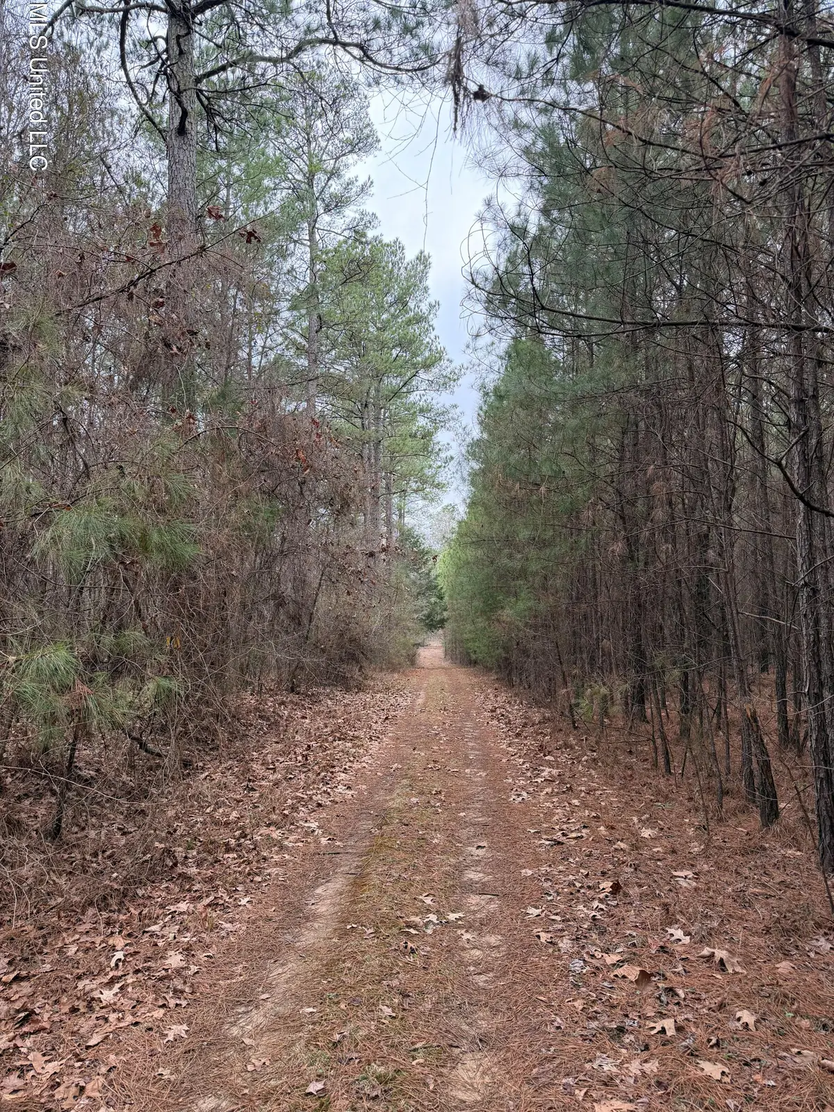 Bodka Valley Road, Scooba, MS 39358 - #1