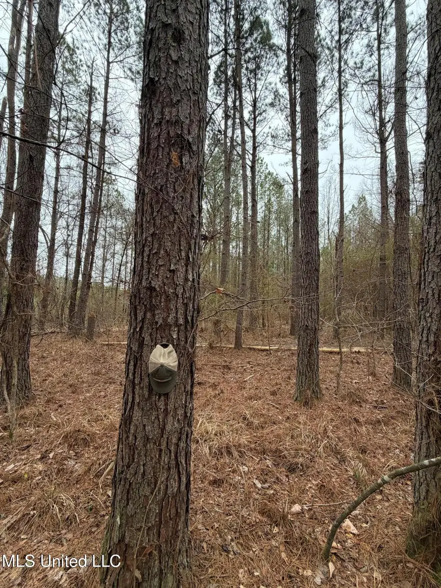 Bodka Valley Road, Scooba, MS 39358 - #2