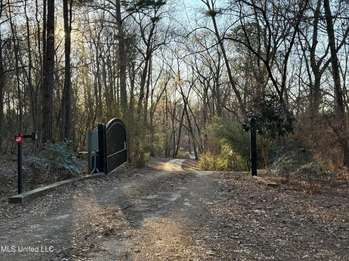 Mannsdale Bluff Trail, Madison, MS 39110 - #1