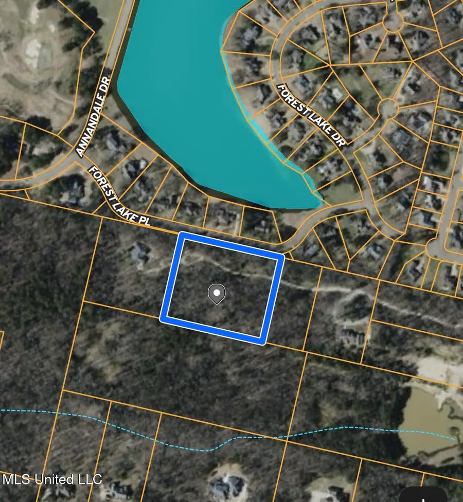 Mannsdale Bluff Trail, Madison, MS 39110 - #3