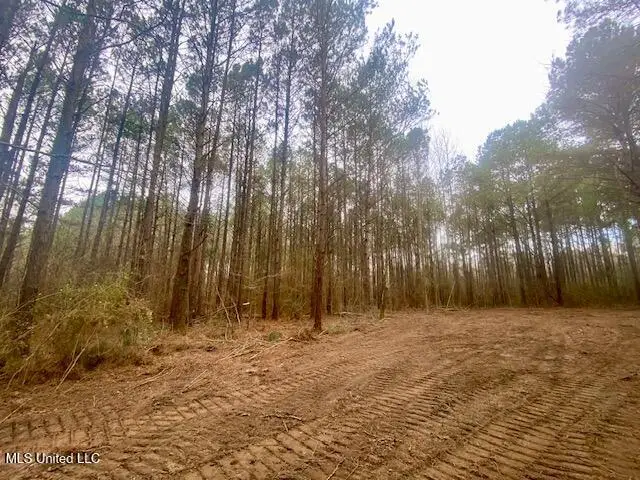 Crawley Road, Columbia, MS 39429 - #2