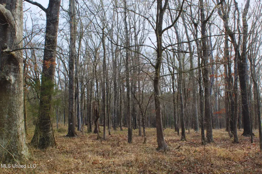 2046 Mitchell Road, Crystal Springs, MS 39059 - #3