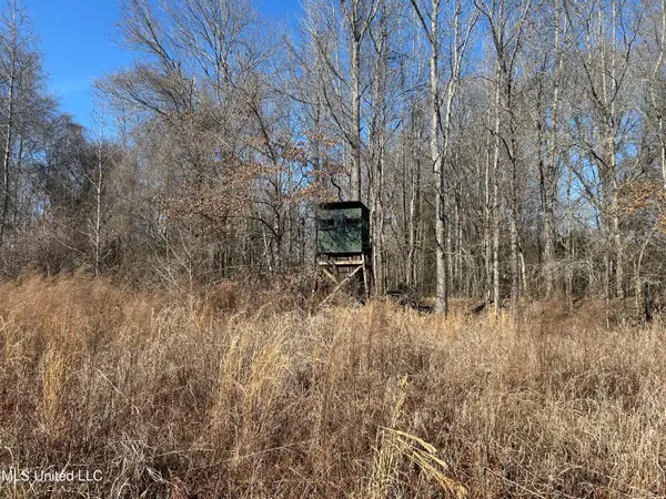 1296 Scotland Road, Bentonia, MS 39040