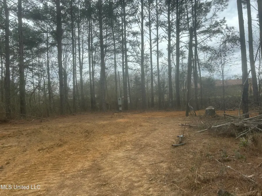 1061, 1040 NE Williams Street, Brookhaven, MS 39601 - #2