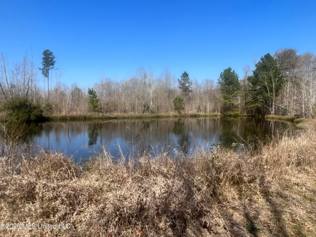 2104 Us-51, Bogue Chitto, MS 39629 - #1