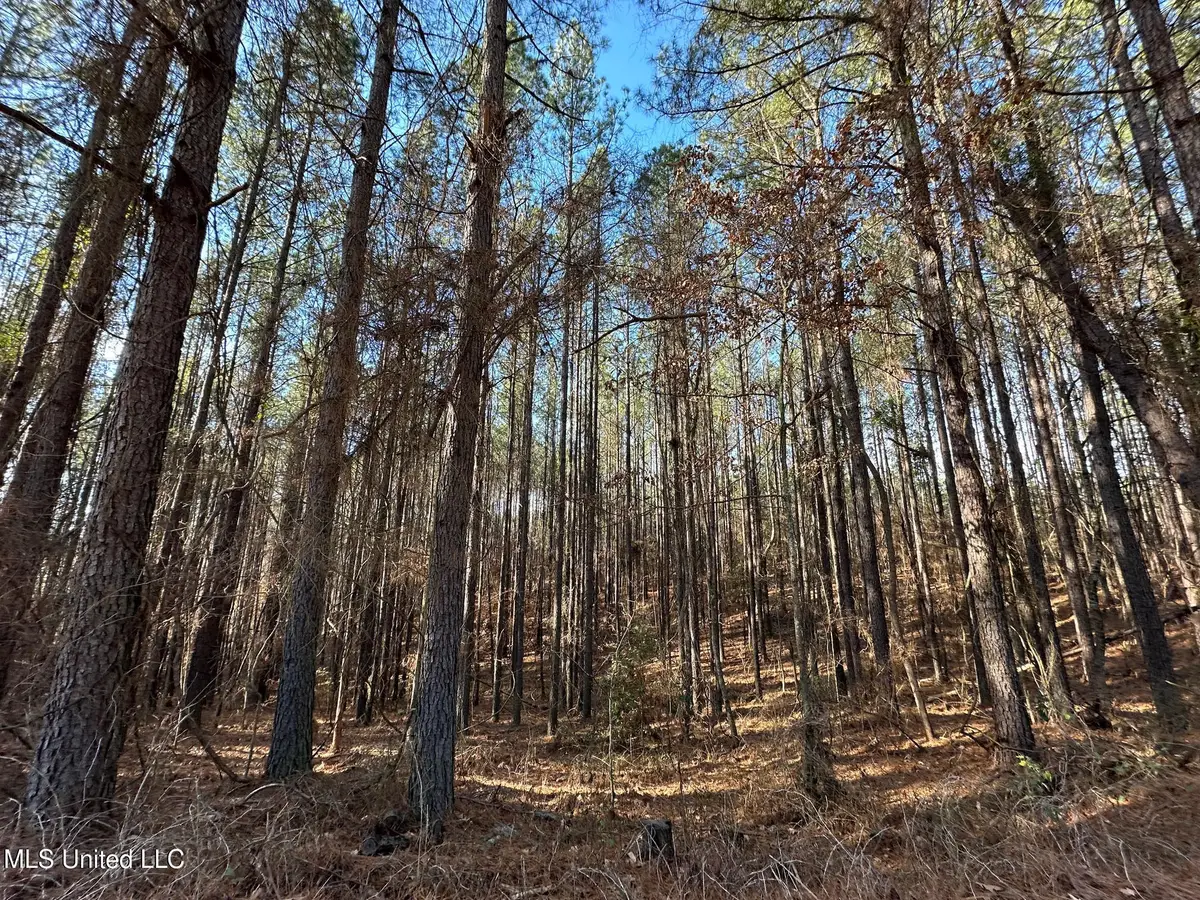 3 Old Pickens Rd, Kosciusko, MS 39090 - #1