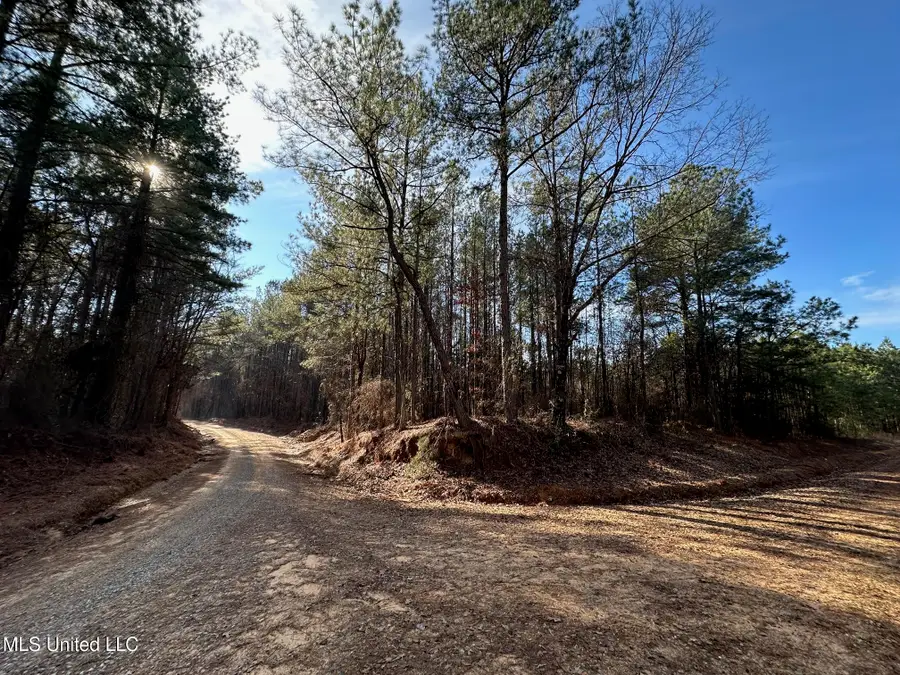 3 Old Pickens Rd, Kosciusko, MS 39090 - #2