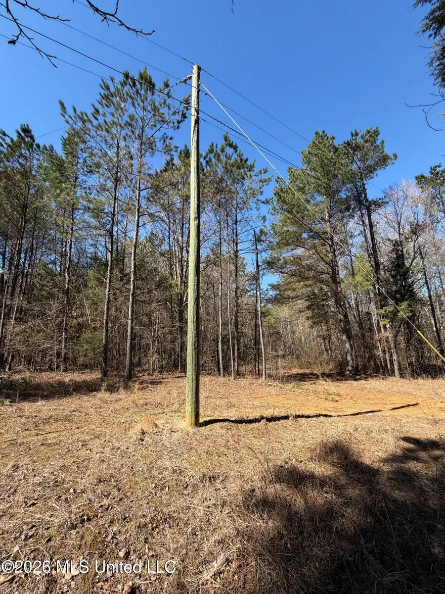 2001 Reed Road, Ackerman, MS 39735 - #2