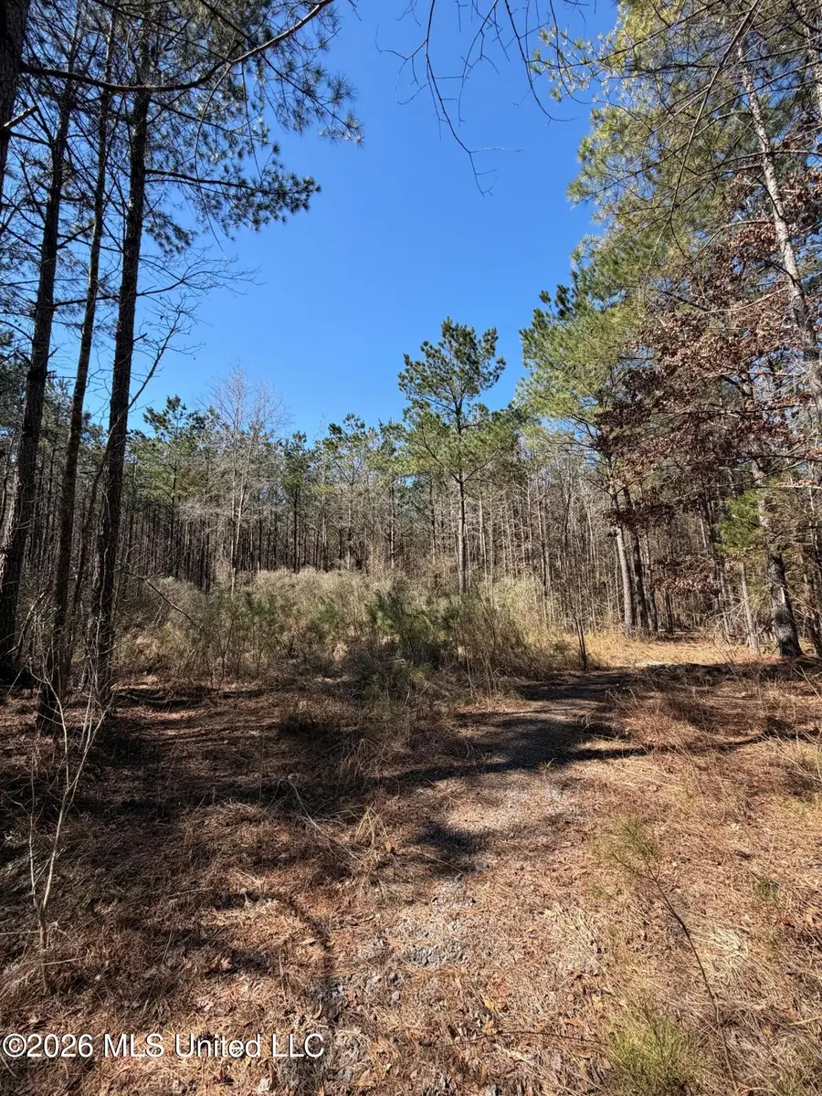 2001 Reed Road, Ackerman, MS 39735 - #3