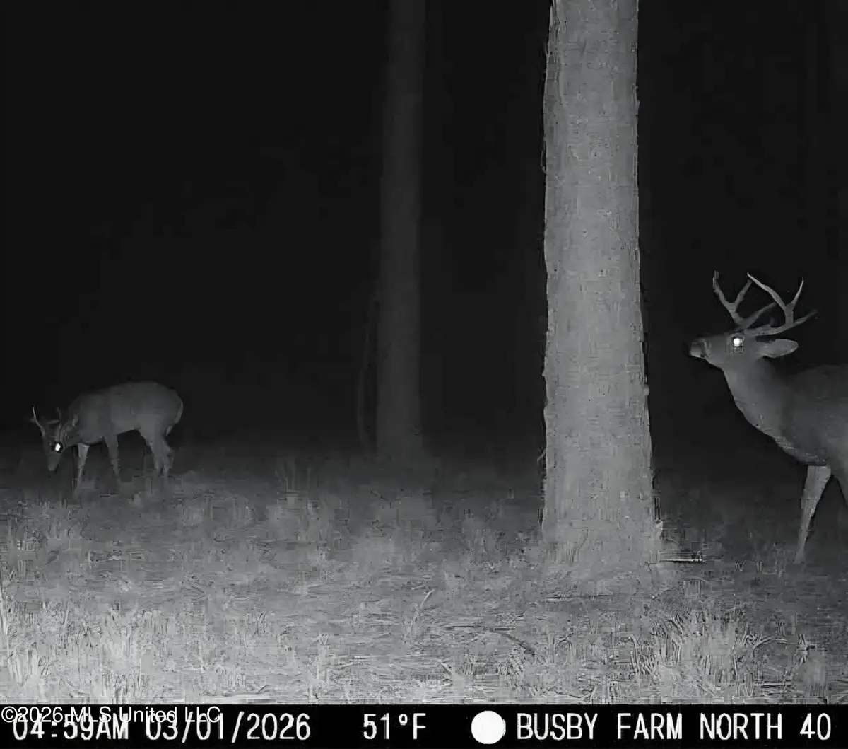 U.s. Highway 51, Bogue Chitto, MS 39629 - #1