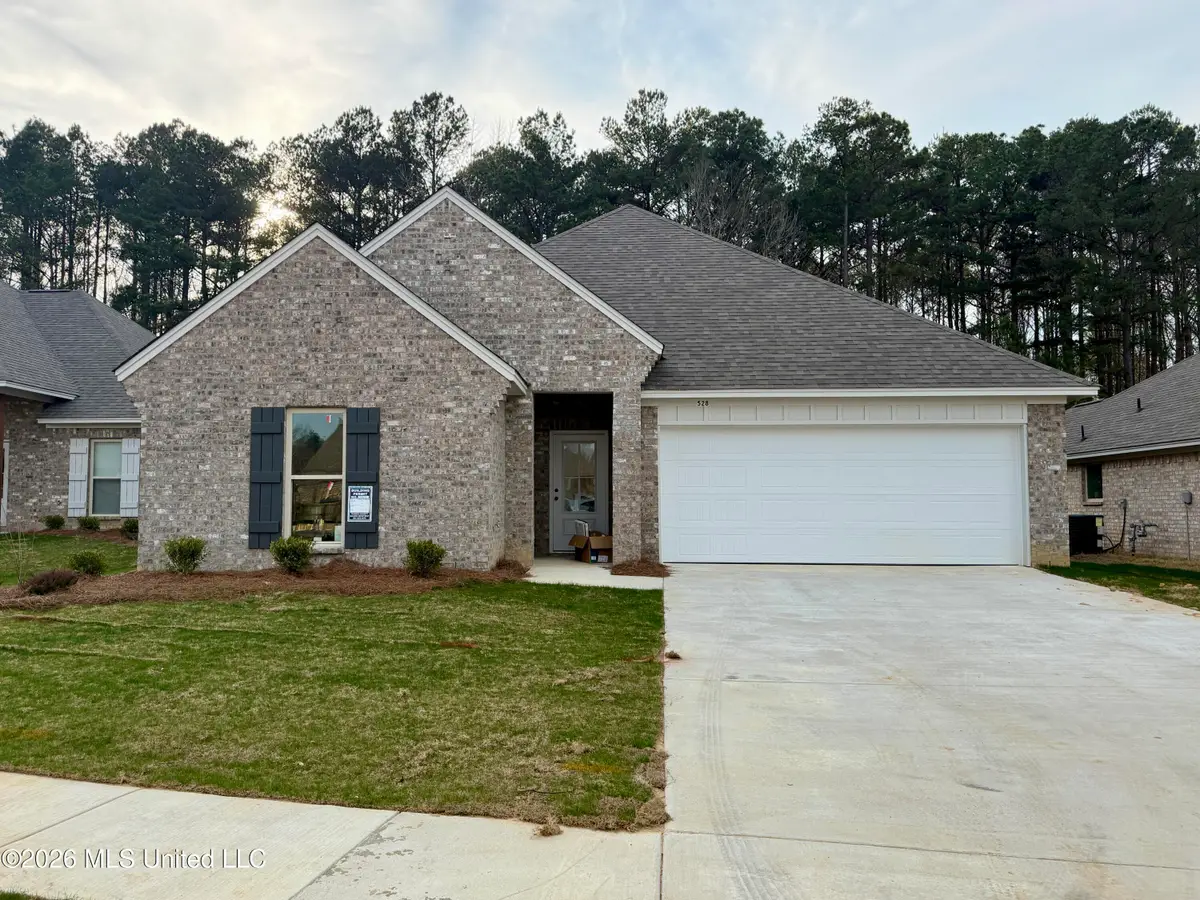 528 Stone Brook Place, Brandon, MS 39042 - #1