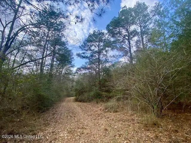 2190 Summit Holmesville Road, McComb, MS 39648 - #1