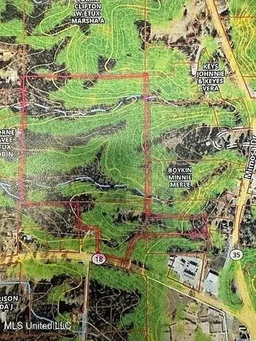 210 Mississippi Highway 18, Raleigh, MS 39153