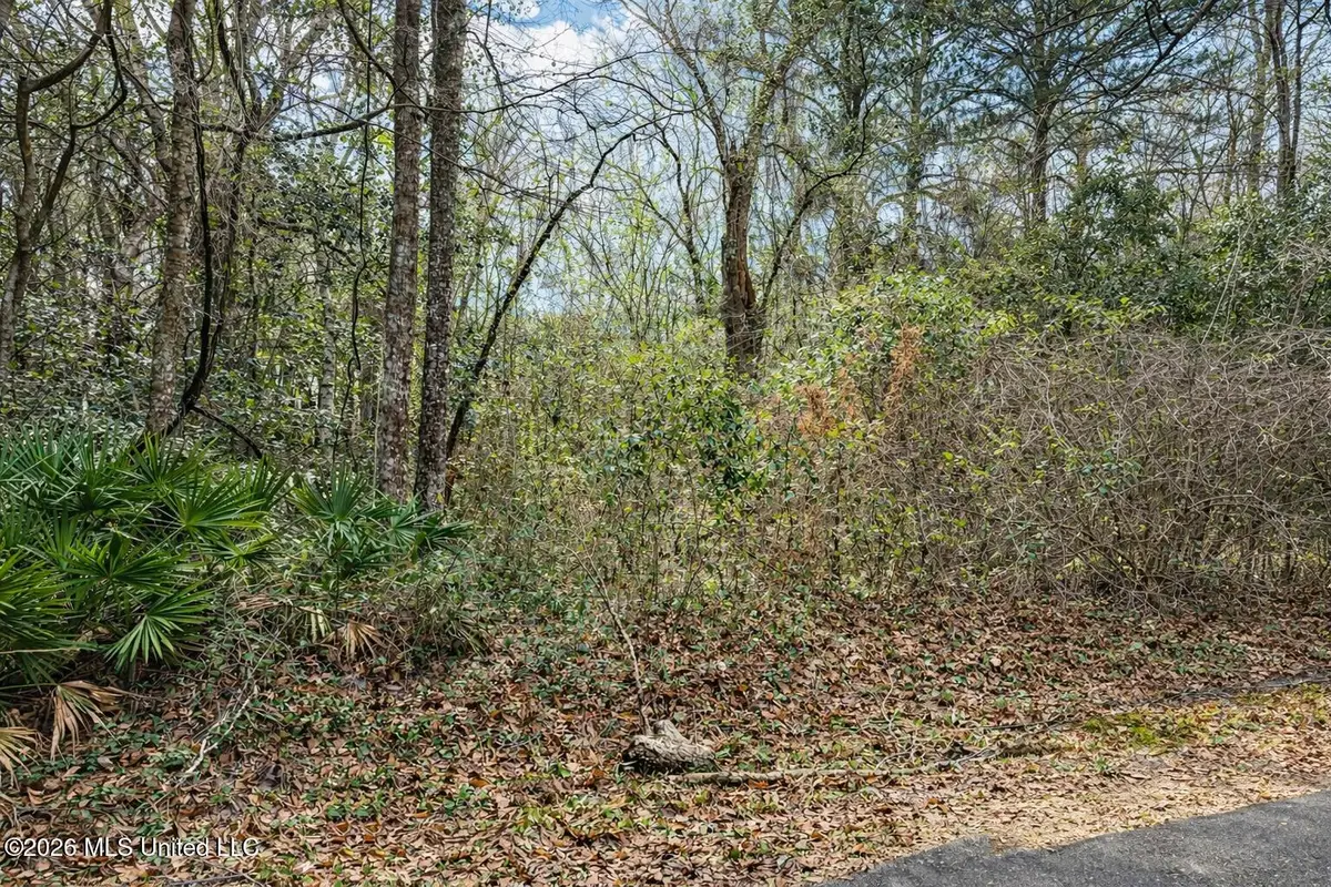 Lot 4 Live Oak Avenue, Ocean Springs, MS 39564 - #1