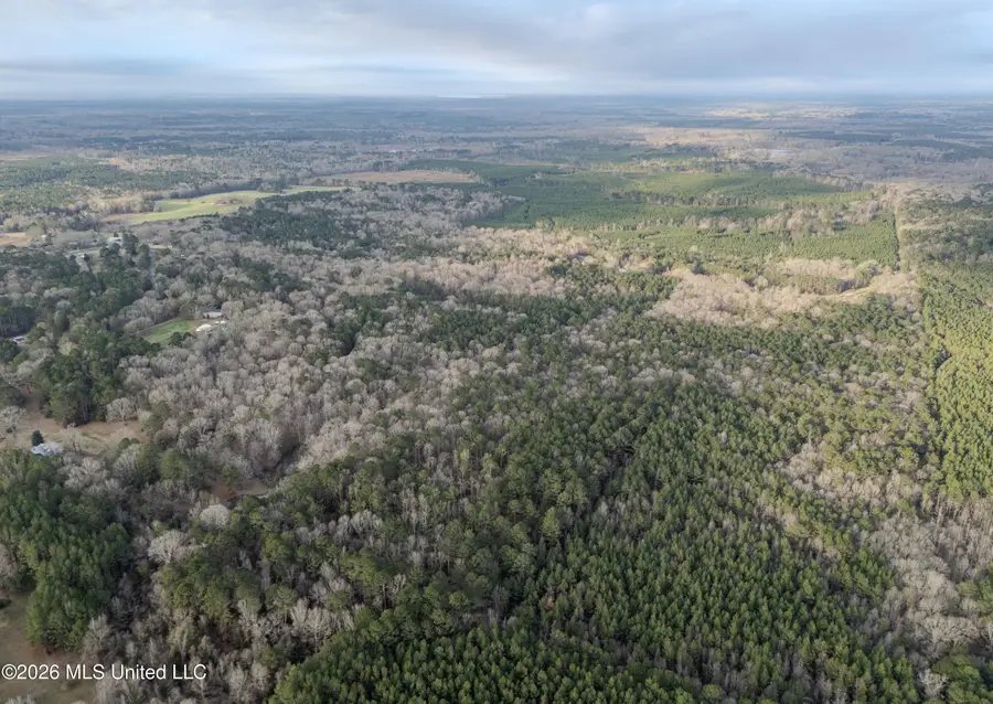 0000 Utah Road, Lena, MS 39094 - #3