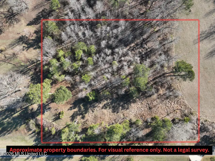 6899 Looxahoma-tyro Road, Senatobia, MS 38668 - #2