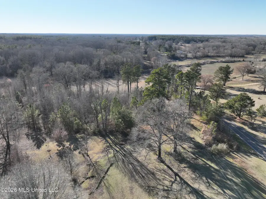 6899 Looxahoma-tyro Road, Senatobia, MS 38668 - #3
