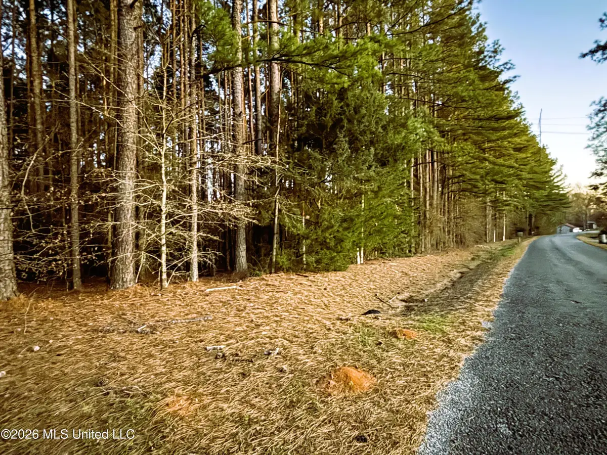 737 Road, Philadelphia, MS 39350 - #1