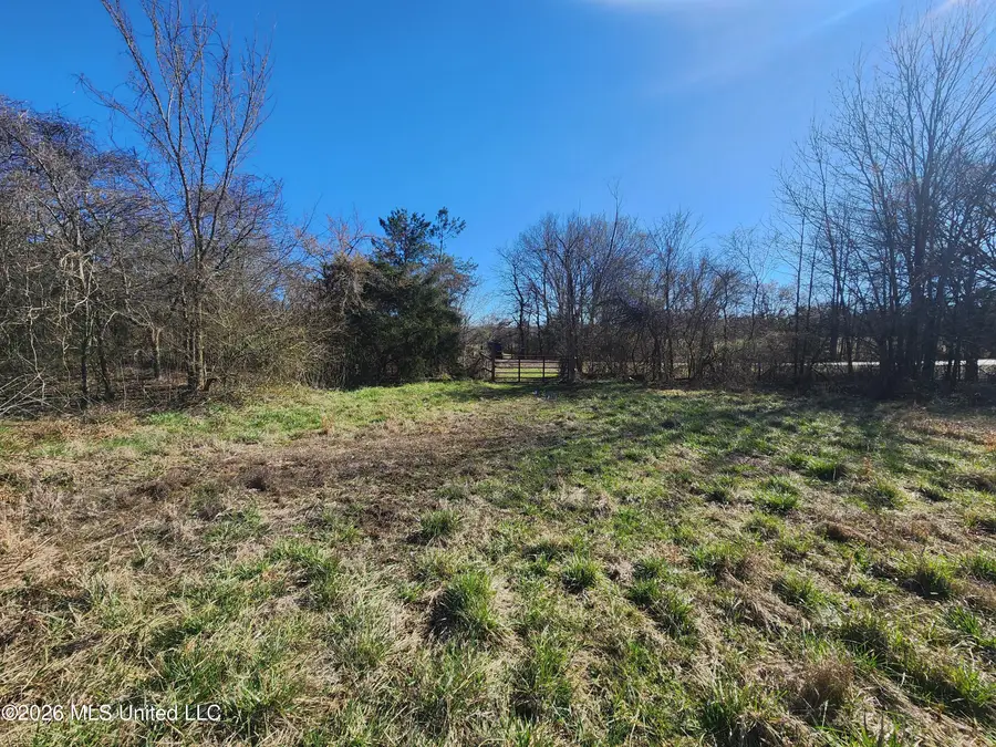 3736 Wyatte Tyro Road, Senatobia, MS 38668 - #3
