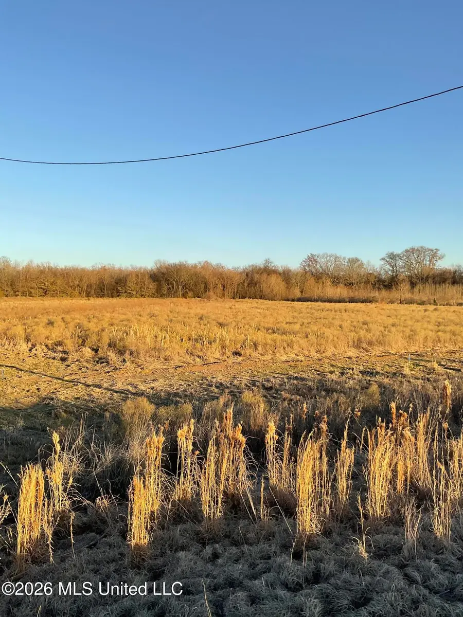 N Calhoun Station Parkway, Gluckstadt, MS 39110 - #3