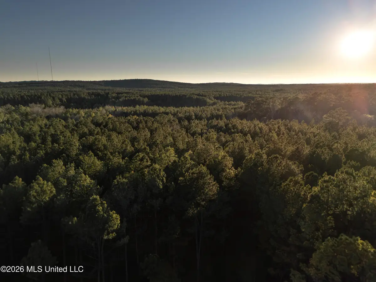 County Road 2414, Louin, MS 39338 - #1